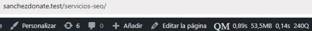 Resultados Query Monitor 