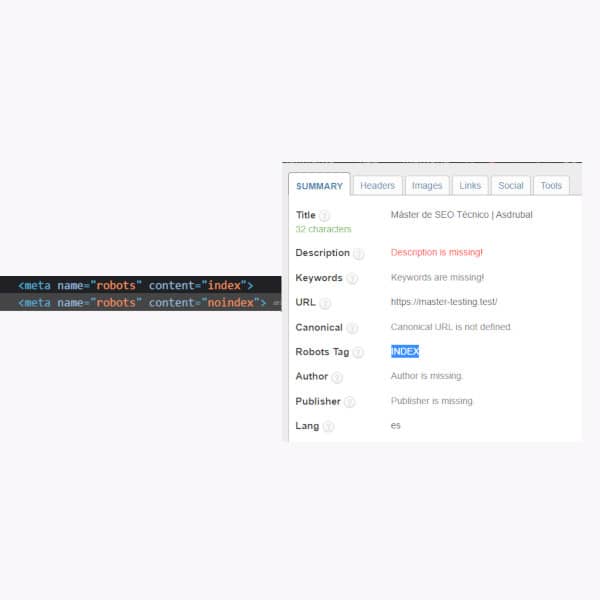 Fallo en SEO Meta in 1 click
