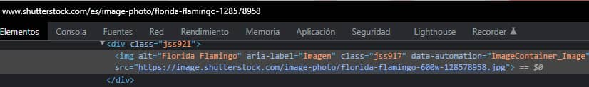 Imagen HTML en Shutterstock con Next